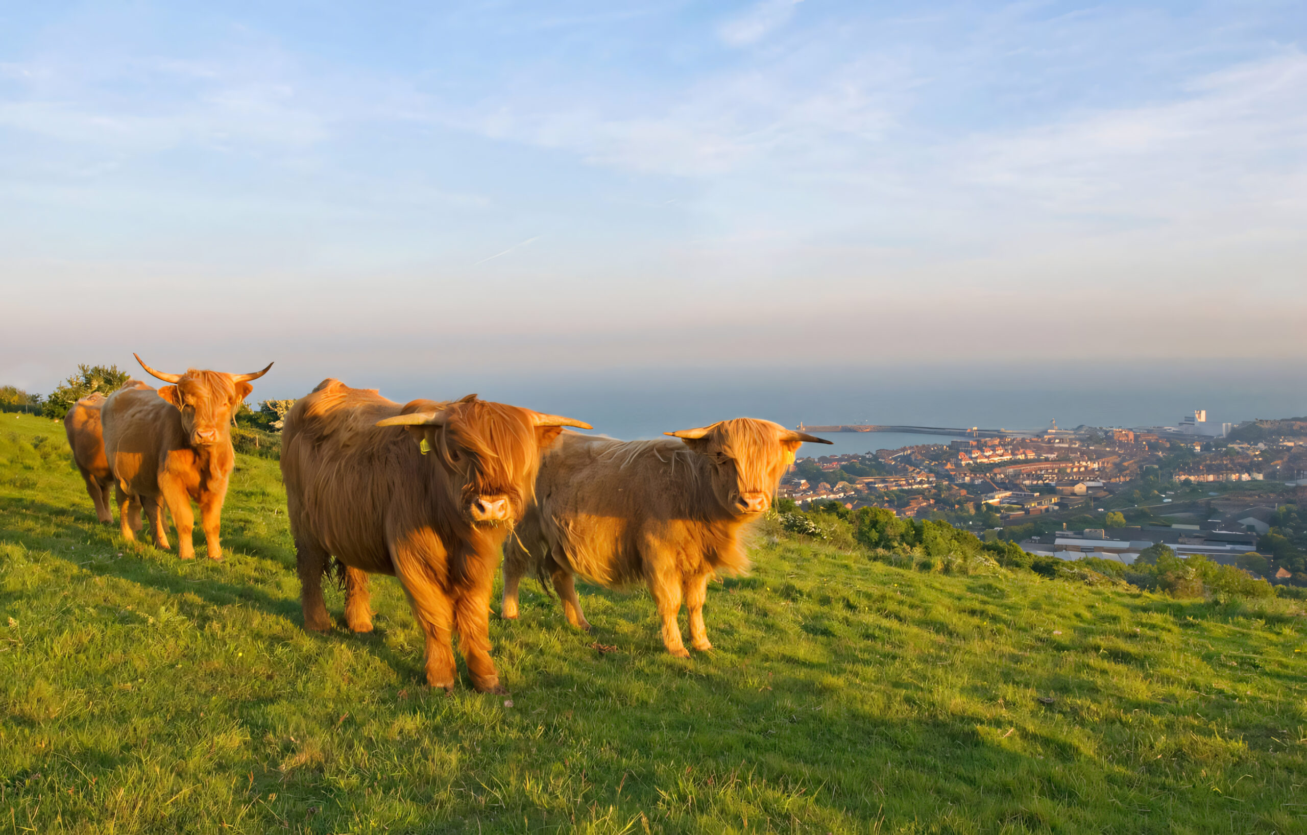 The Lay of the Land: Folkestone